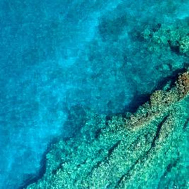 overhead-view-of-pristine-coral-reef_134x134_crop_center_2x.jpeg