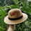 Miniatura: SOMBRERO DE ALA DE 9 CM. REDONDO DE PALMA