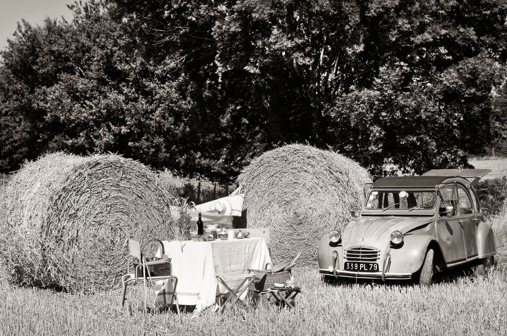 Pic-Nic à la française
stephen clement photographe
