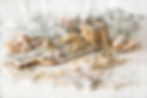 insieme-0021.jpg