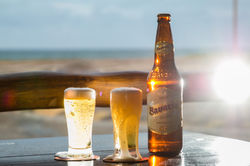 CaranguejodaBahiaPU01_15