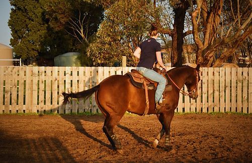 Ebony riding a horse during a training session in the arena.