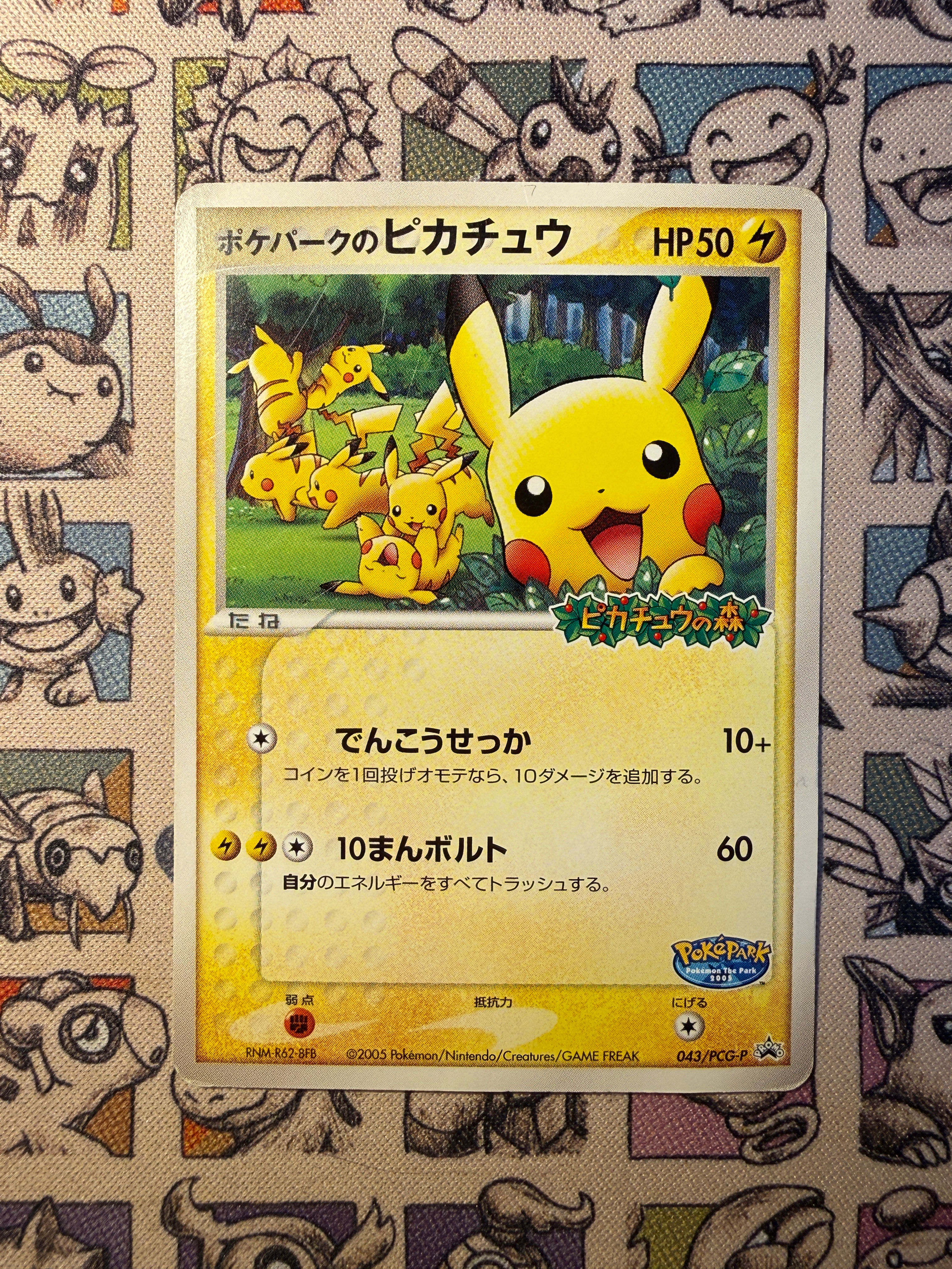 PokéPark's Pikachu 43 PCG-P Promos