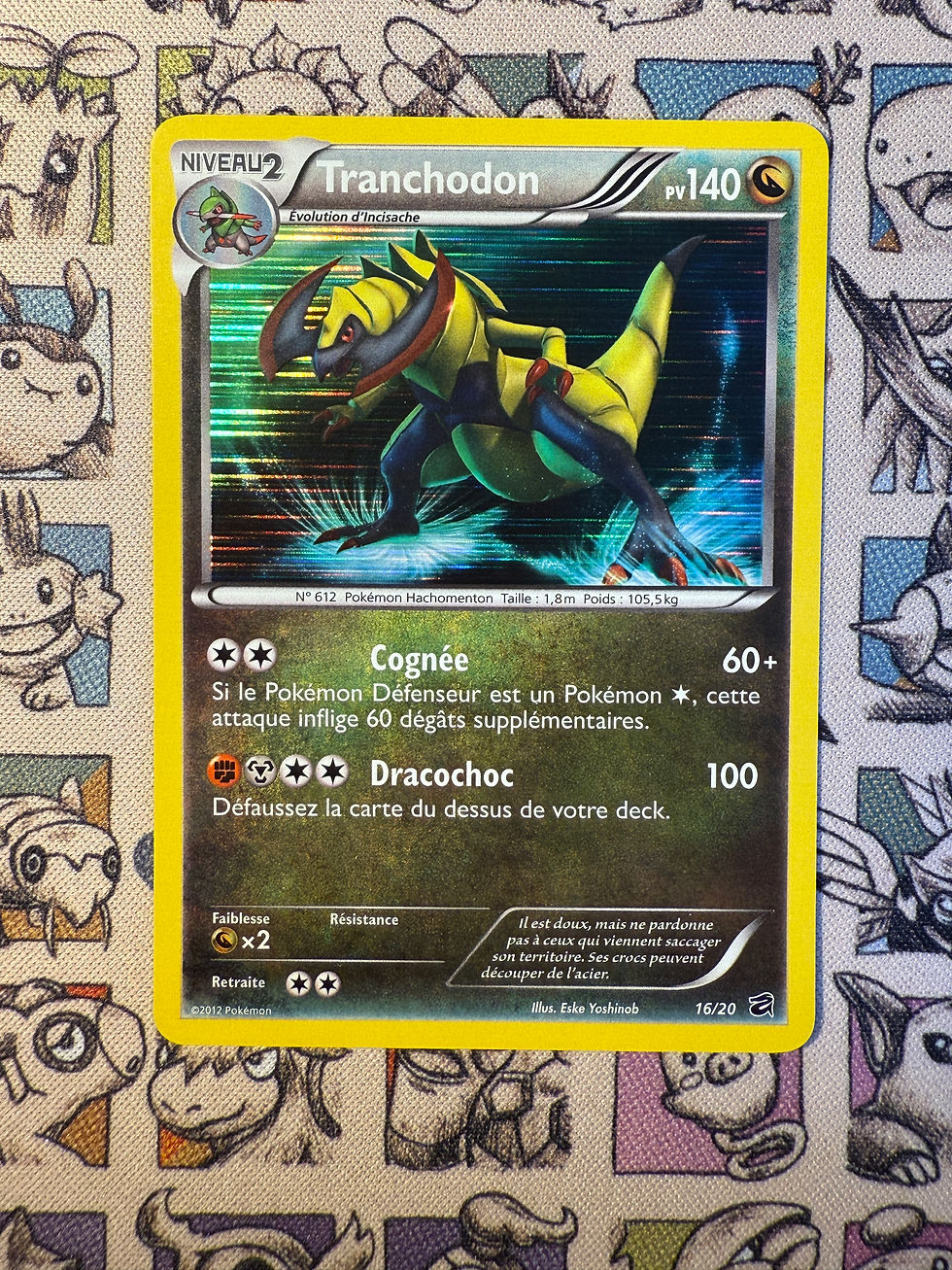 Tranchodon 16 Coffre des Dragons