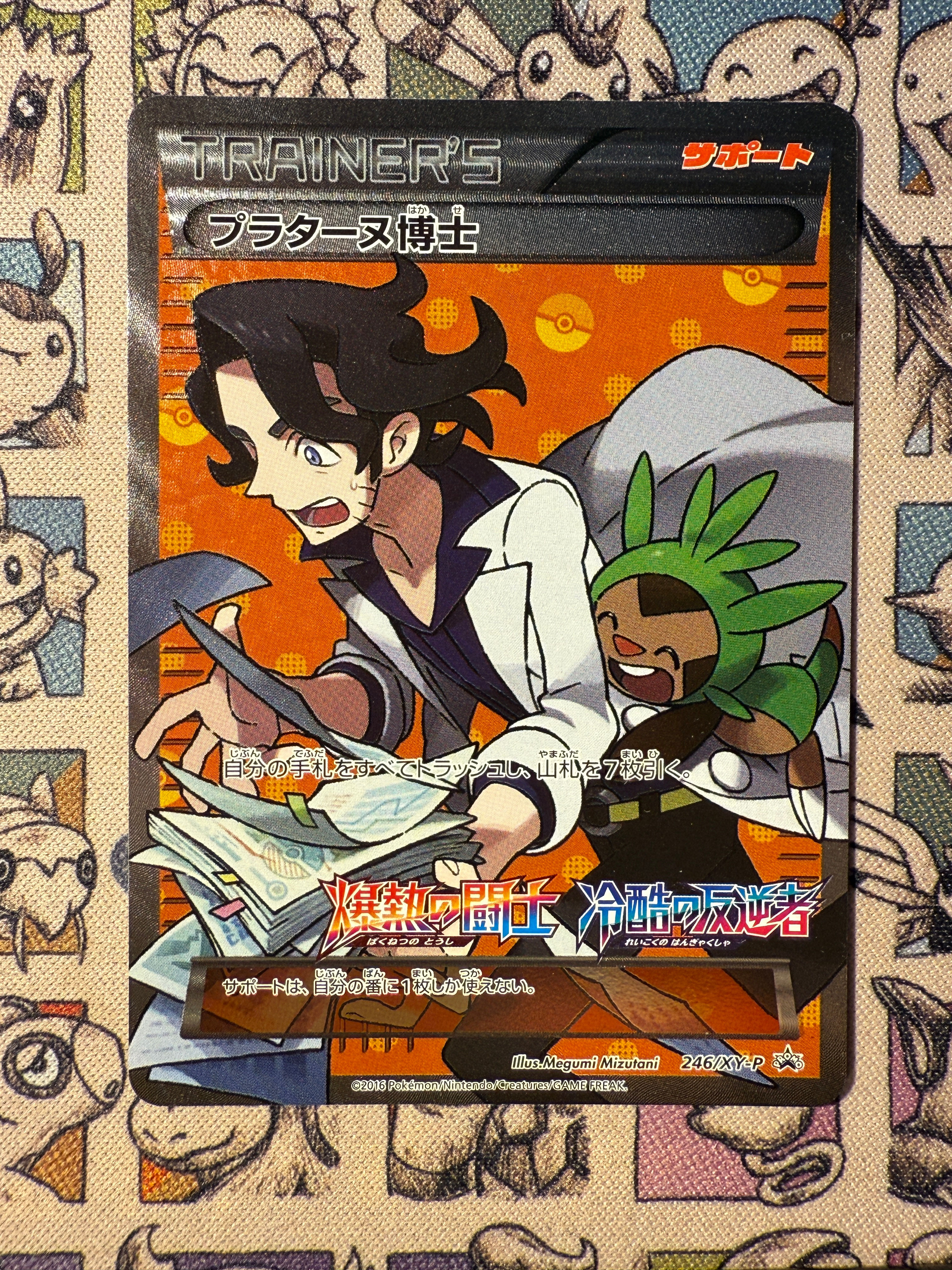 Professeur Platane 246 XY Promos