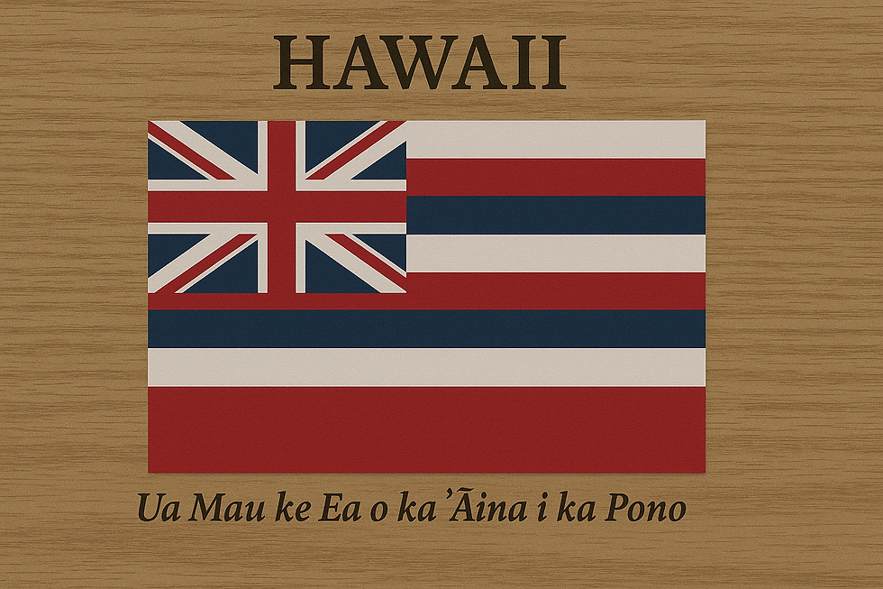 Hawaiian remote online notary, remote notary in Hawaii, online notary public in Hawaii, remote notary services Hawaii, virtual notary signing Hawaii, certified online notary Hawaii, notary public online Hawaii, state approved remote notary Hawaii, local online notary Hawaii, online legal notarization Hawaii