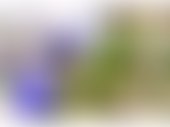 "The image features a person carefully working with a cannabis plant, highlighting the cultivation and handling process within the cannabis industry. The scene conveys attention to detail, professionalism, and the legal or business aspects of cannabis-related work."