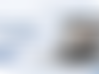Remote Online Notarization in Florida | Online Notary Guide & RON Services