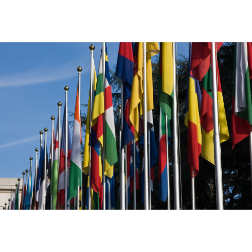 Apostille Made Easy: Your Trusted Guide to International Document Certification with Rey Ethan Mobile Notary Services"