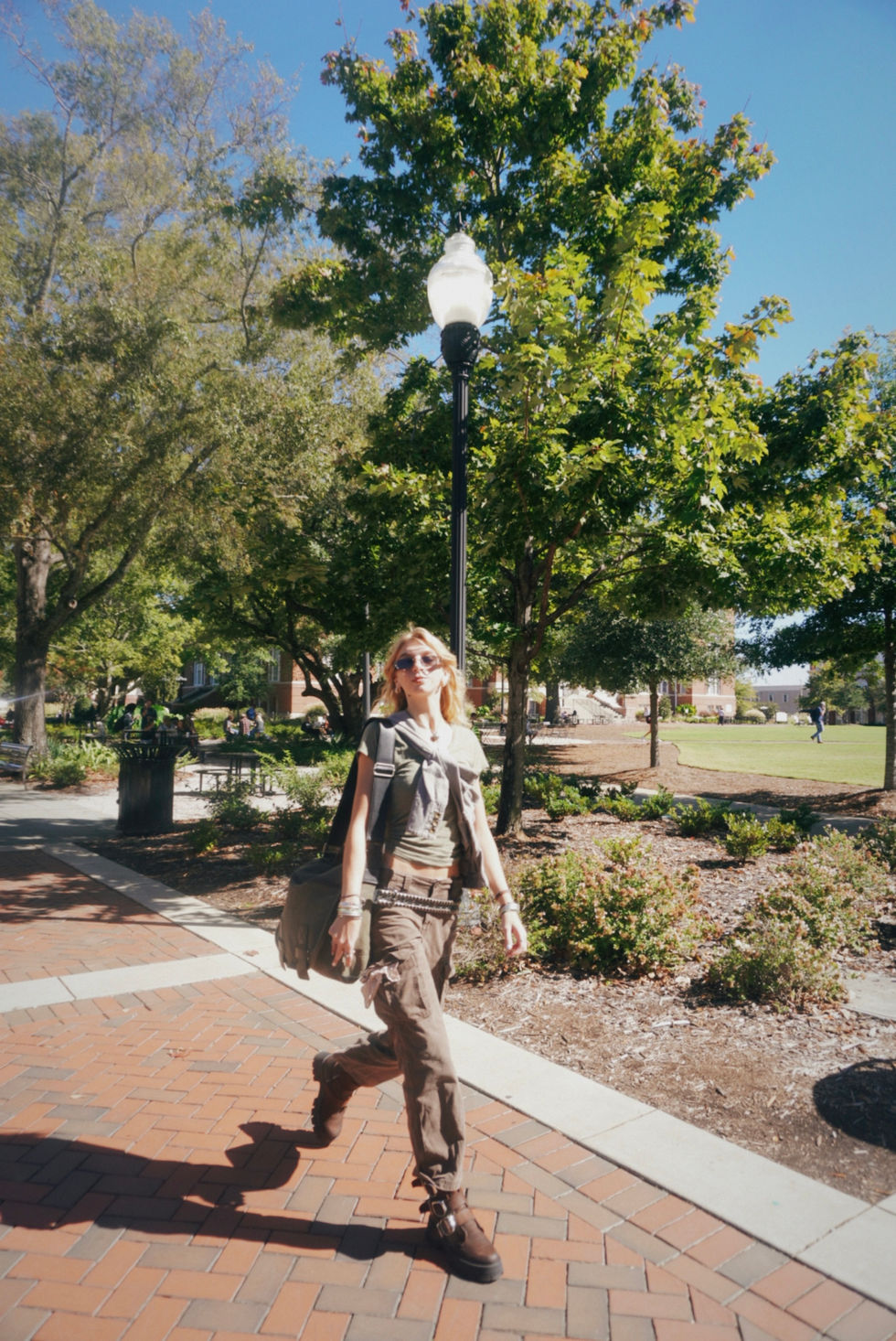 Paparazzi Picture