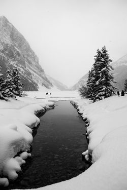 Over The Black Stream
