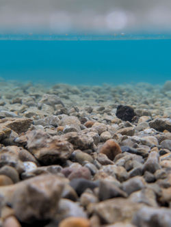 Underwater Views