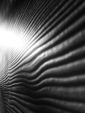 LRM_20210421_161925.jpg