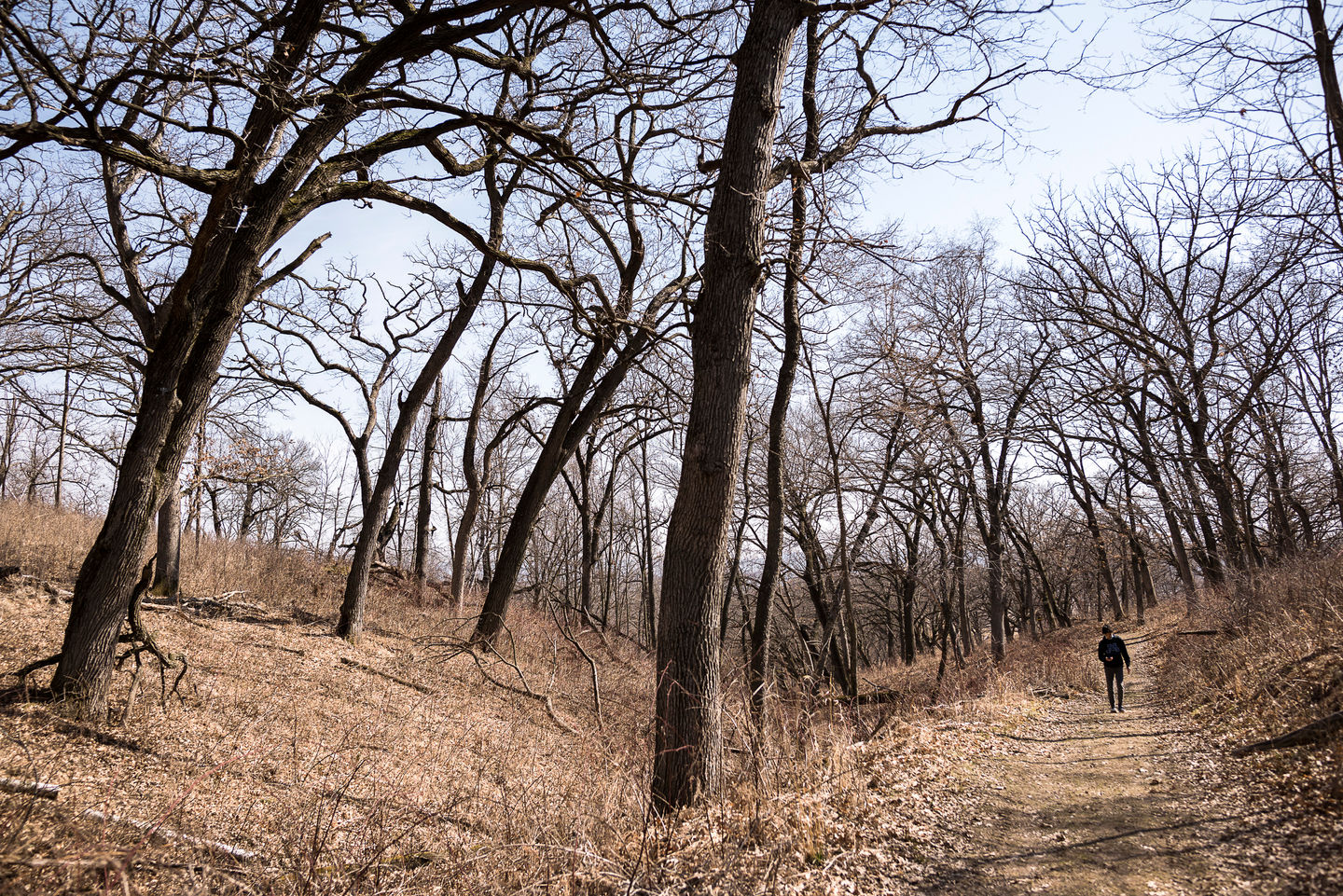 Fall Hiking at Frontenac State Park - Minnesota State Parks