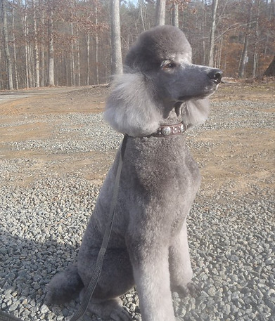 Fresh Cut 2.jpg