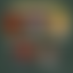 Aldi吉祥物Kevin今年聖誕節又做了什麼?