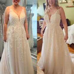 Standard Alterations