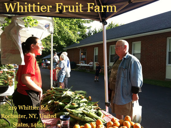Vendor and customer talking at a market stall with corn and oranges. Sunlit street, brick building background, casual atmosphere.