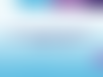 Adult Day Program Guidelines -Fr-2025