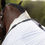 Thumbnail: GALLOP Dual 5-Point Fly Rug & Neck Set