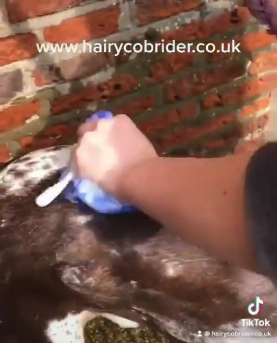 Thumbnail: Absorbine® ShowSheen® Woof Pouf™ for Dogs Individual or box of 12