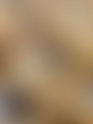 Homemade Hershey Kiss Peanut Butter Cookies