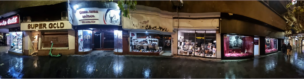 SEX-SHOP, sursa de venituri a Uniunii Juriștilor din Romania, cadou de la Petre Roman