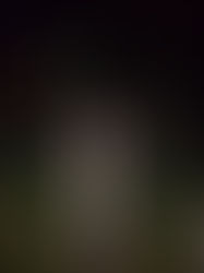 All Saints Church Branksome 1st & 2nd investigations