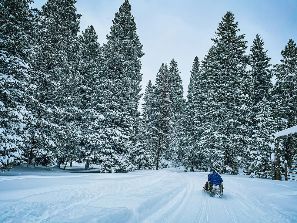 Snowmobiling through snowy trees