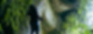 Jurassic caves_edited.jpg
