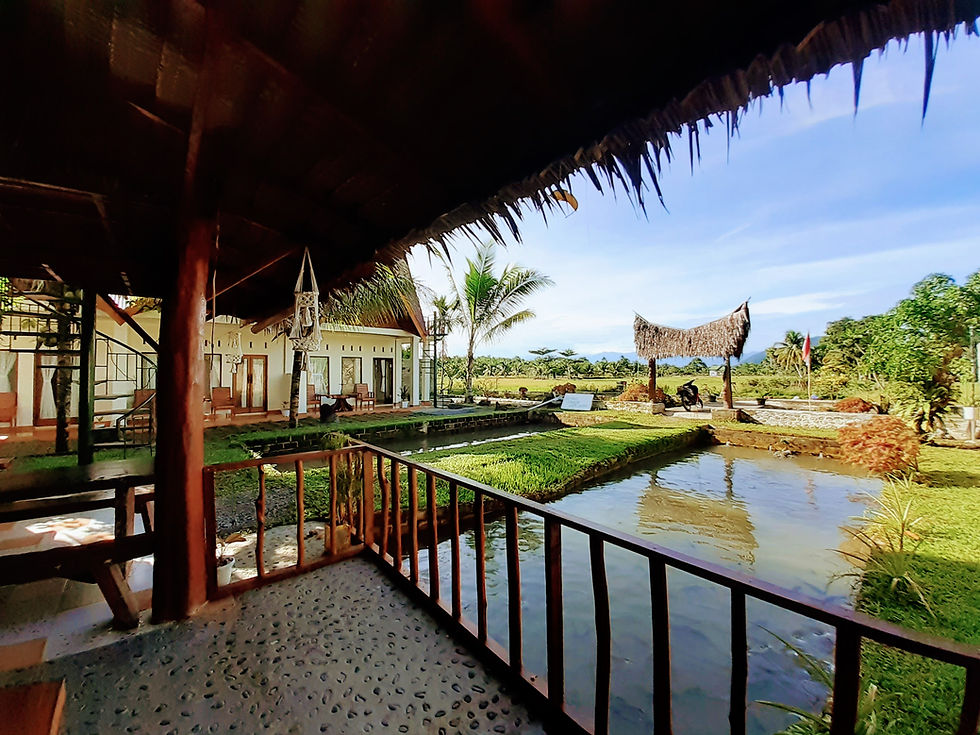 Best place to eat and drink in Bukit Lawang