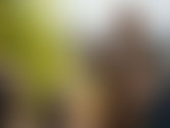 A man in robes holds a tiny seed, teaching an attentive group seated in a sunny, yellow-flowered garden, evoking a peaceful mood.