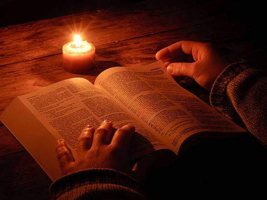 A Person reading The Holy Bible