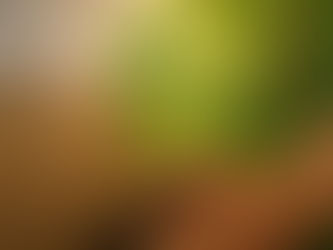 വ്യവകദനങ്ങള്