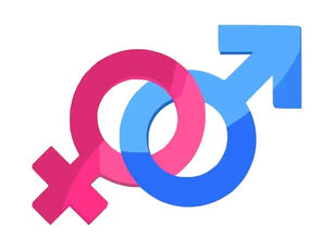 symbols of man and woman in white background