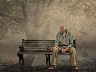 an old man sitting on a bench in a park in the background of snow
