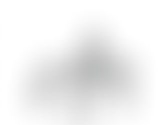 അവള് അവയെല്ലാം മനസ്സില് സംഗ്രഹിച്ചു