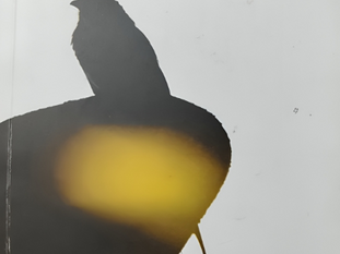 Silhouette of a bird on a white background with yellow accents. Malayalam text at top, featuring a calm and serene mood.