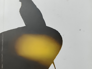 Silhouette of a bird on a white background with yellow accents. Malayalam text at top, featuring a calm and serene mood.