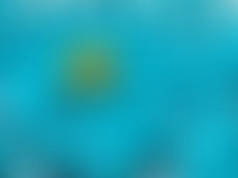 സ്വാധീനം