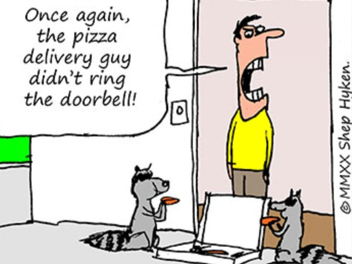 A man in a yellow shirt looks annoyed at two raccoons holding pizza slices by an open door. Text reads: Once again, the pizza delivery guy didn't ring the doorbell!