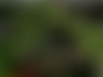 അവശ്യം വേണ്ടത്