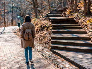 a Person walking along the park