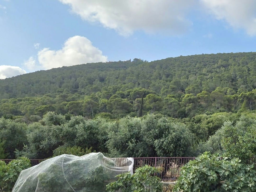 Mount Tabor
