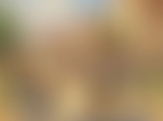 വിദ്യാഭ്യാസം