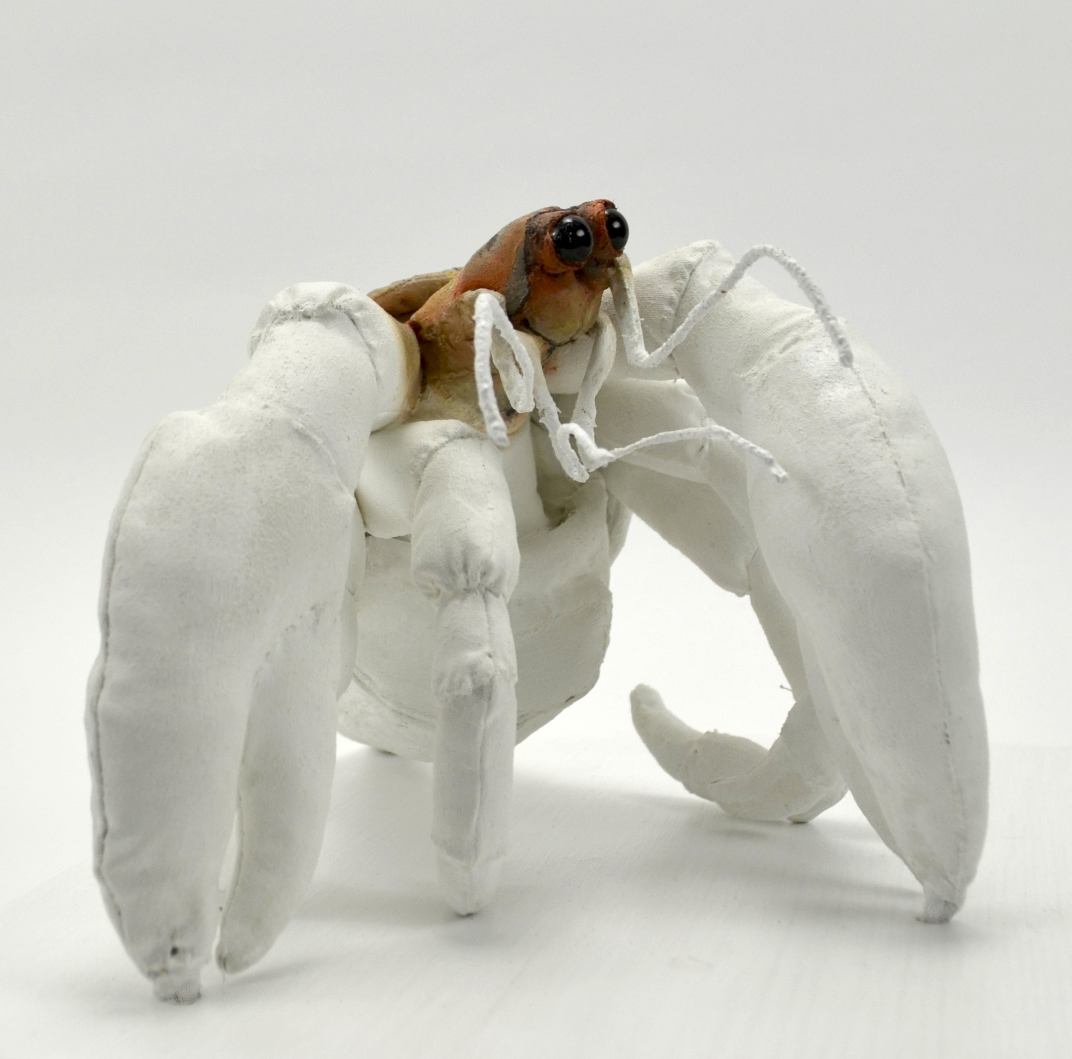 The Recluse (Hermit crab) front view 1