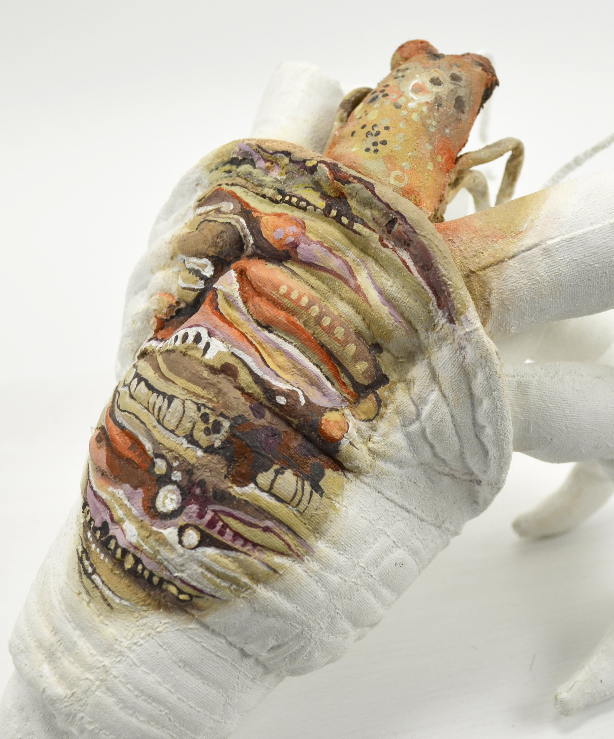 The Recluse (Hermit crab) detail