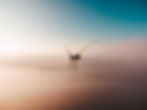 SveaSolar_Lifestyle_landscape-02_LowRes.jpg