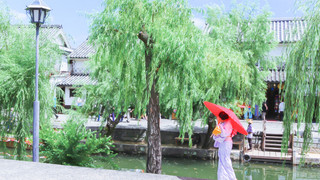 10:00|倉敷散歩|和服で散歩がしたくなるまち