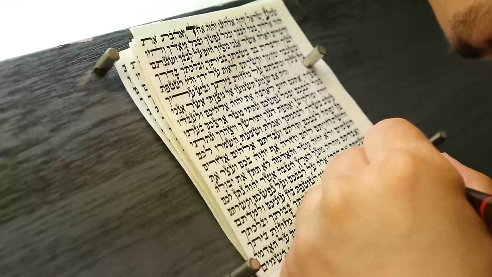 מסך בית אתר חדש.png